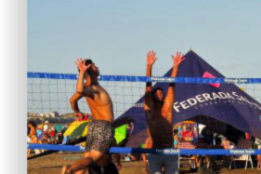 DEPORTES DE ARENA. PERSPECTIVAS DE DESARROLLO