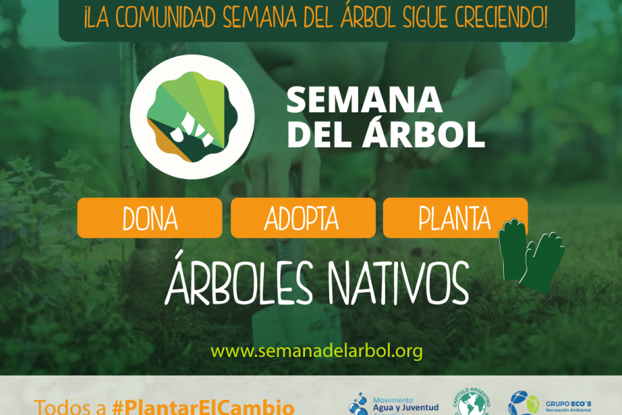 LANZAMIENTO DE “SEMANA DEL ÁRBOL” 2017